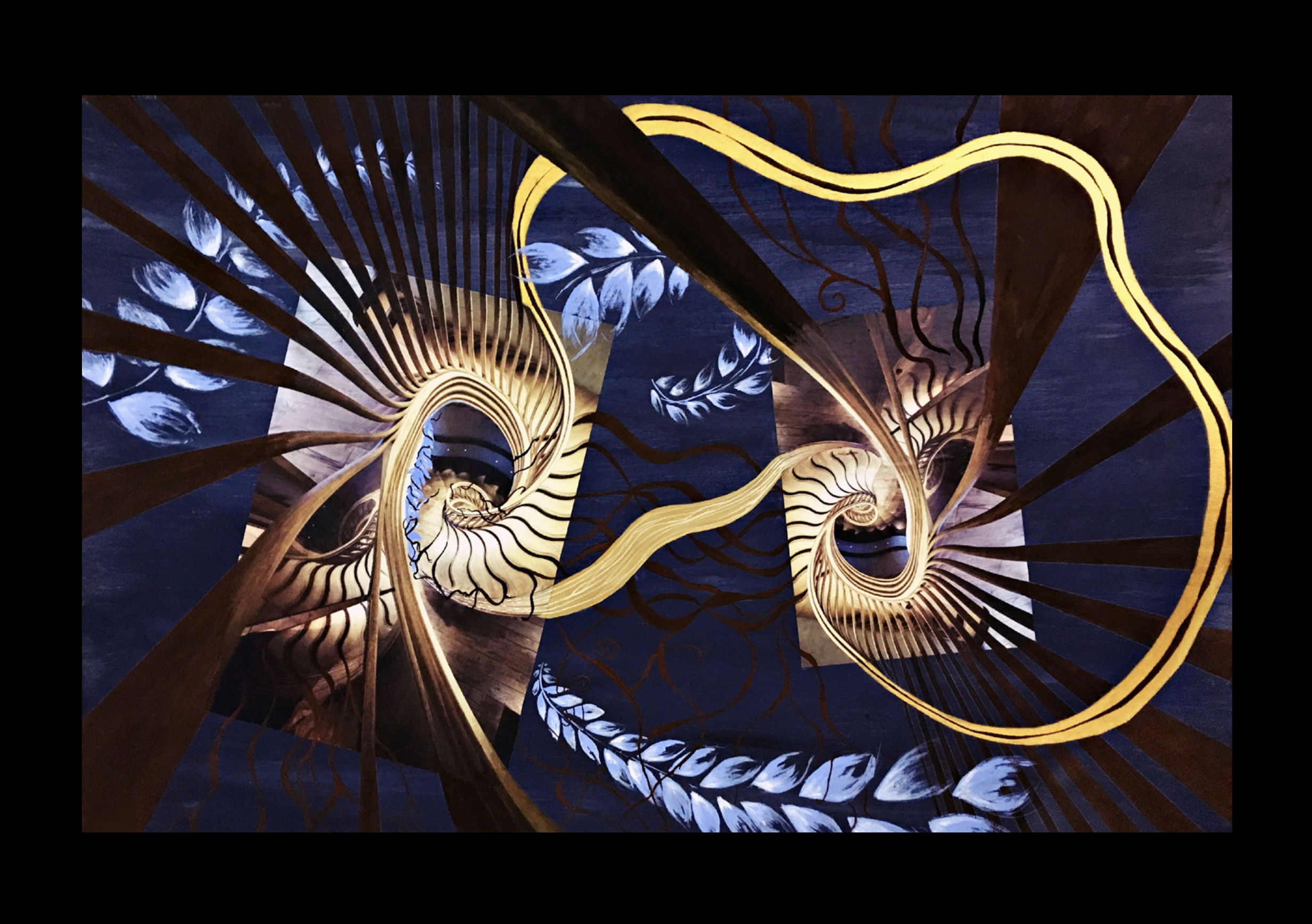 Nautilus