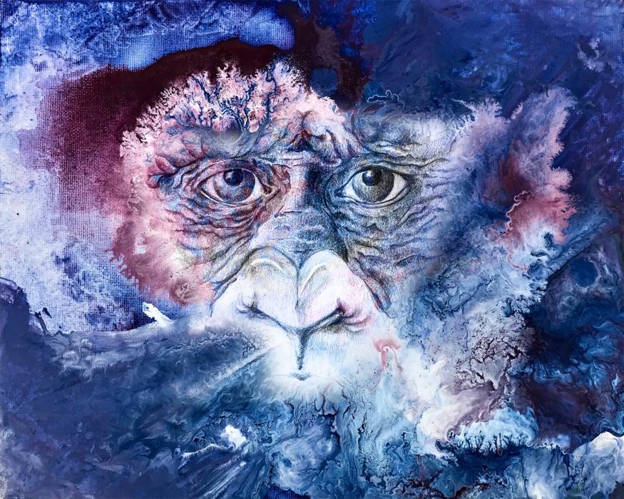 Primate